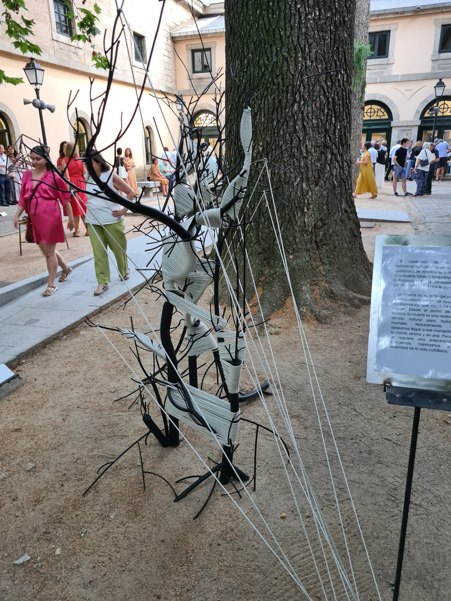 RETURN de Asociación Mínimo Tamaño Grande